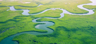 Tarımsal Sulamada Devrim Yaratan: PVC Boru ve Ek Parçaların Rolü